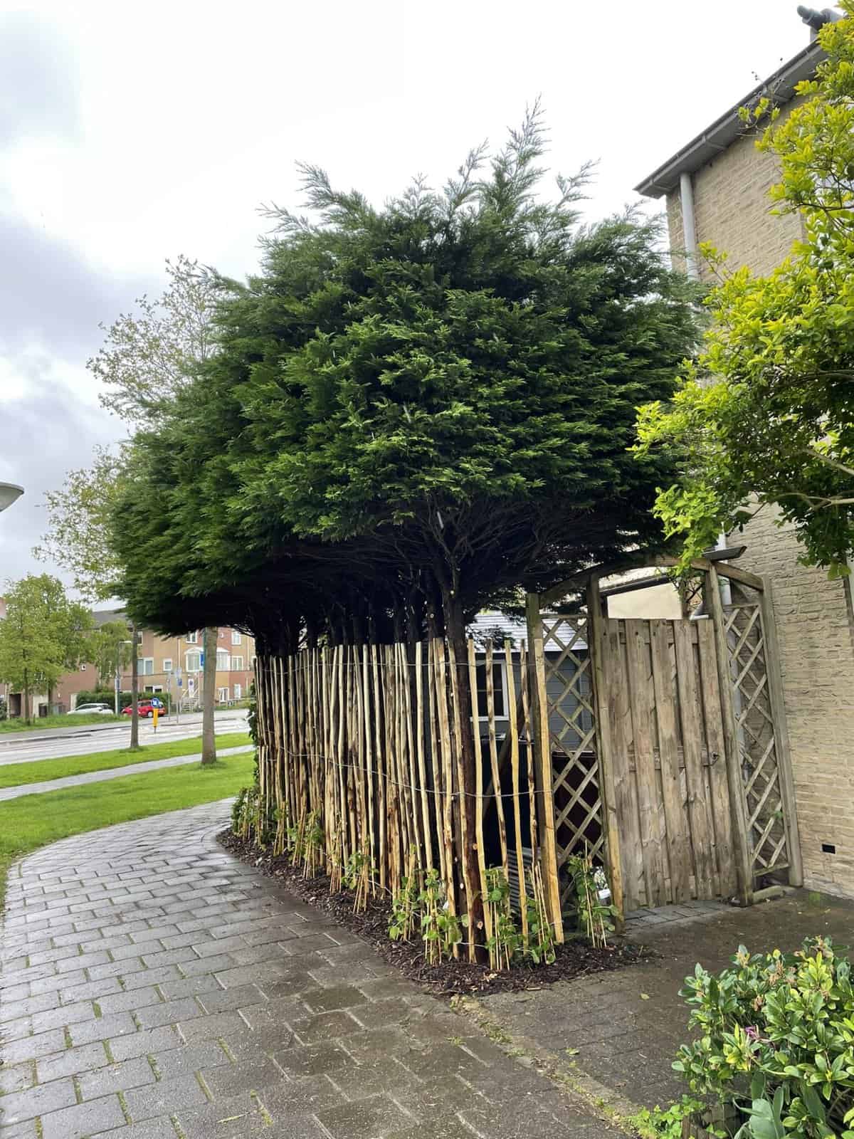 Coniferenstammen als basis voor het kastanjehouten hek