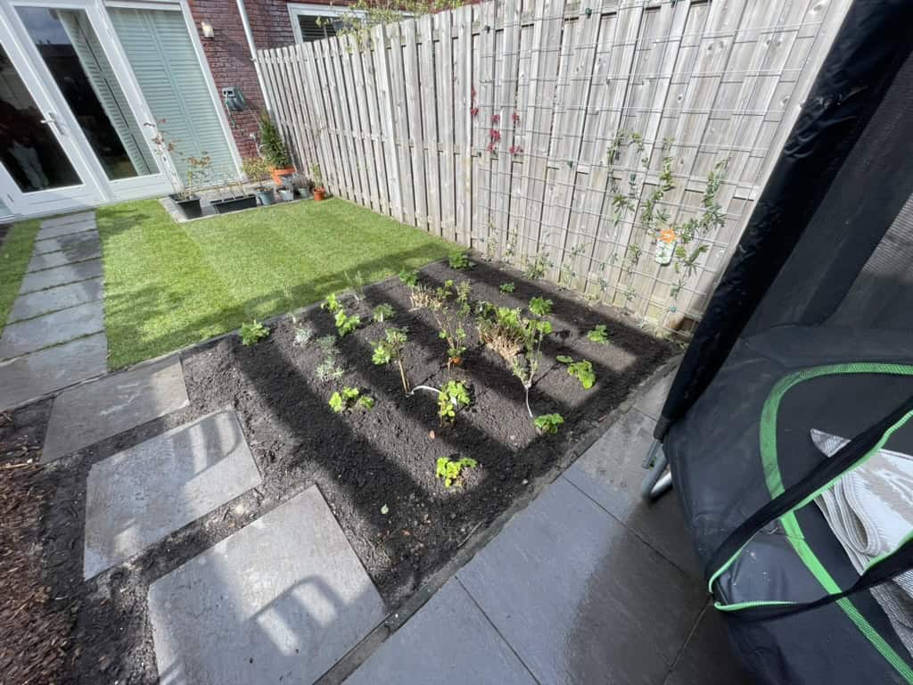 Bloemperk met jonge groenten