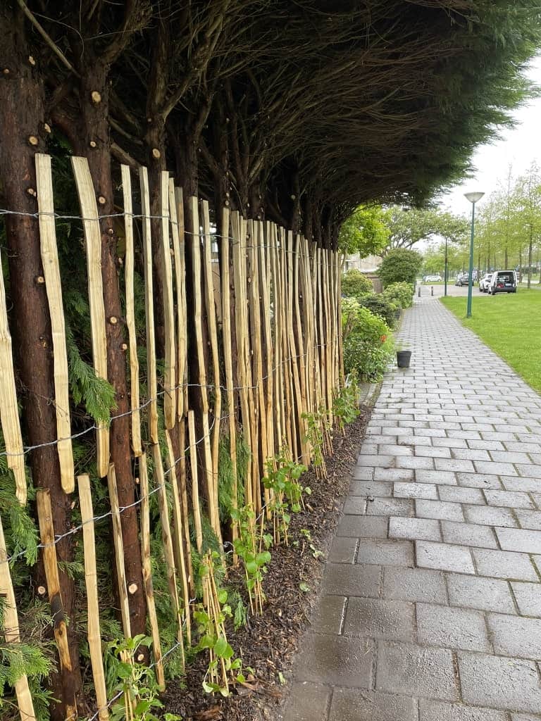 De nieuwe natuurlijke schutting