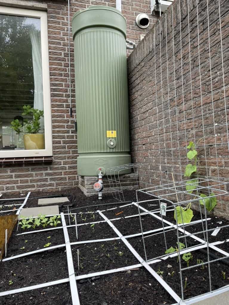 Regenwatertank tussen tuinbedden met klimplanten