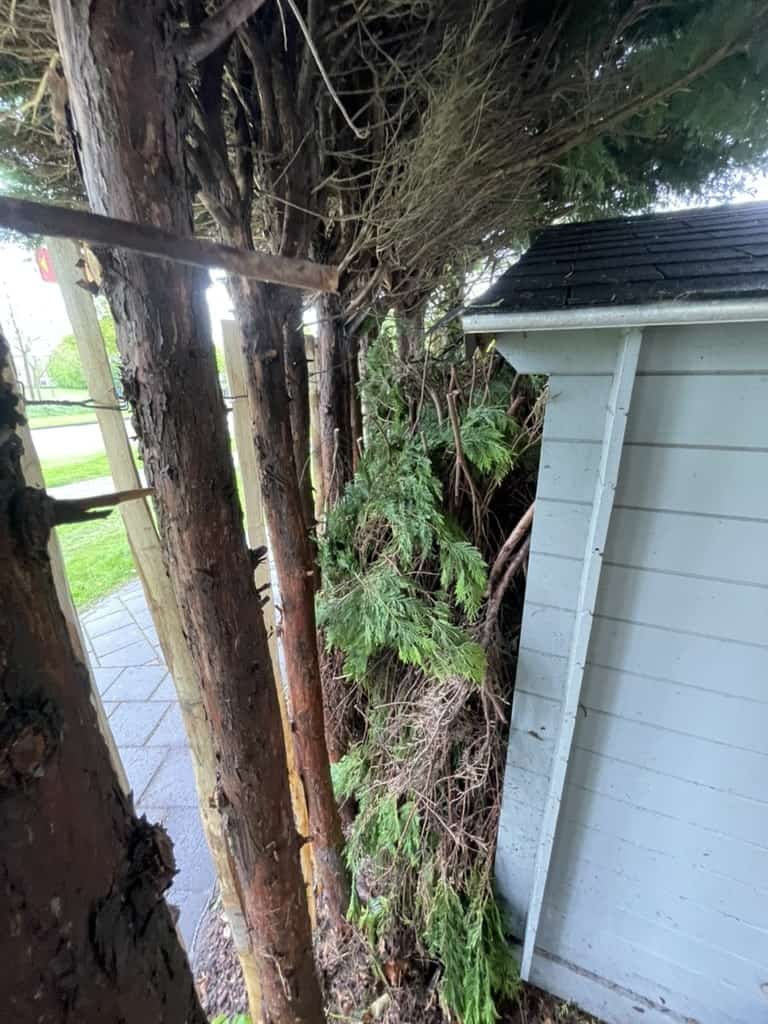 Stapel takken naast de tuinmuur als schuilplek voor wildlife