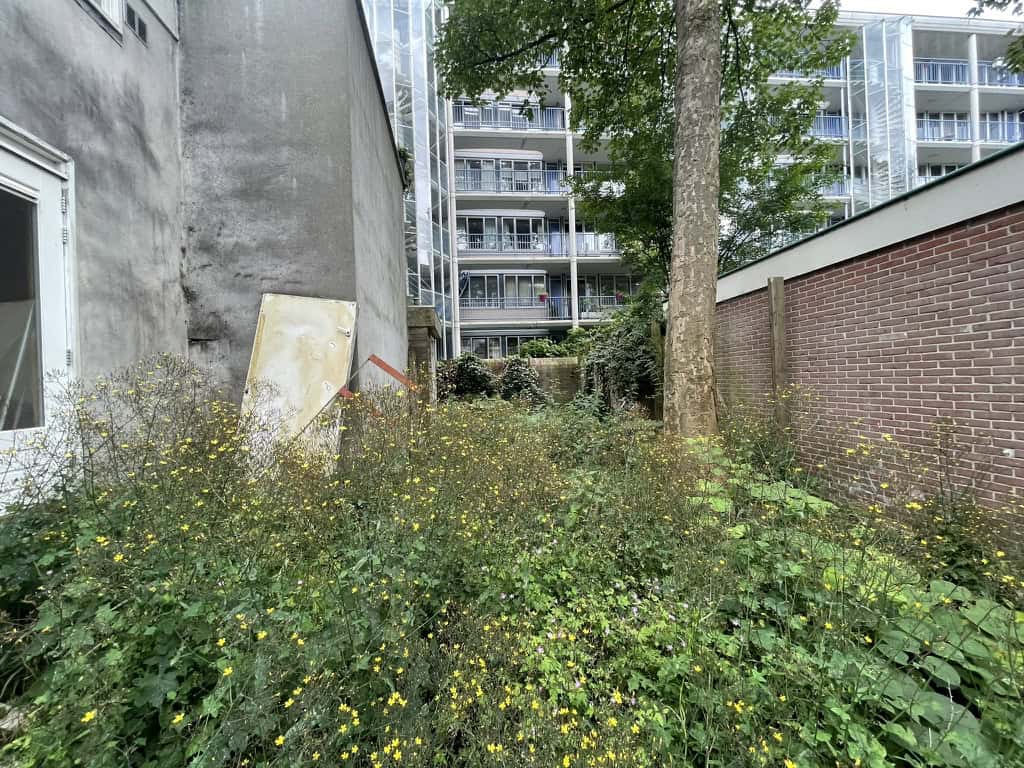 Hoek van de oude tuin met versteende ondergrond